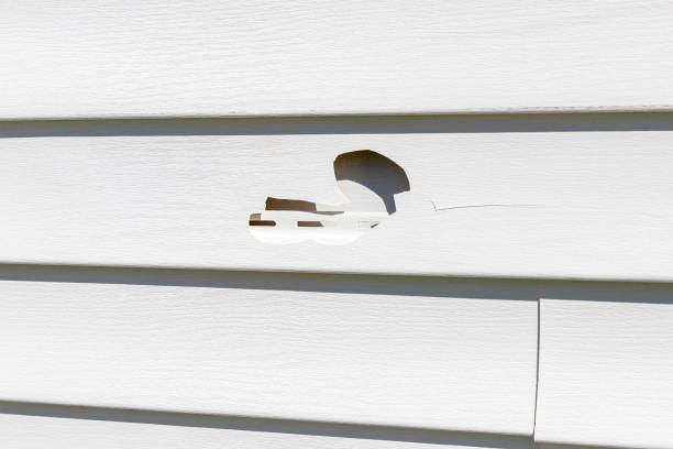 Affordable Siding Repair and Maintenance Services in Athens, TX